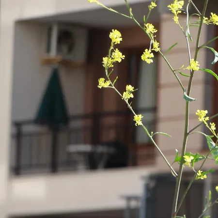 Appartement Lora Boutique *
