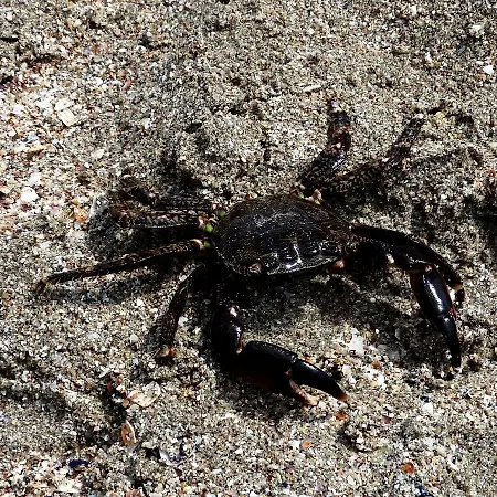 Lora Boutique Apartment