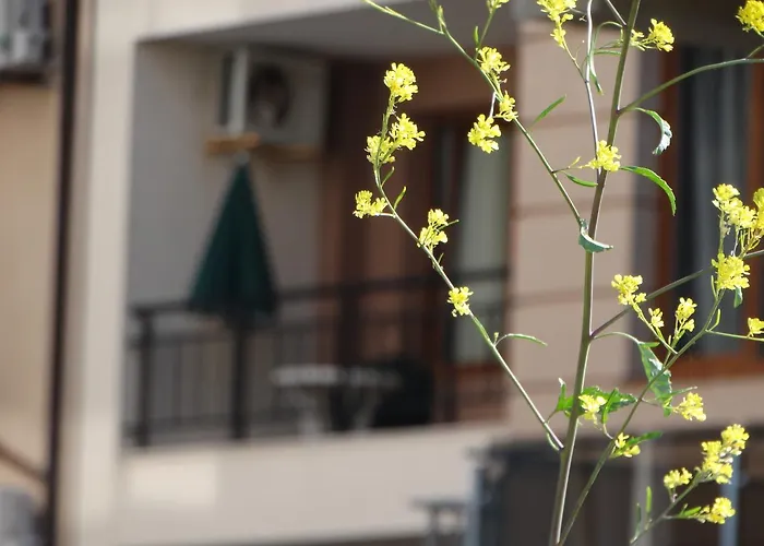 Apartman Lora Boutique *