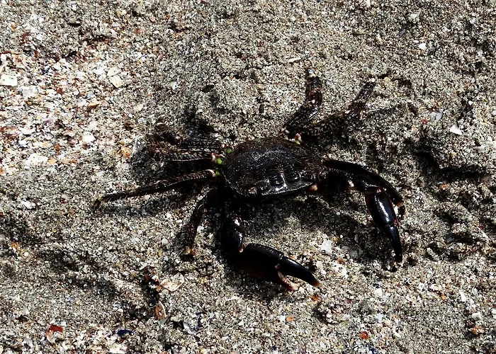 Lora Boutique Apartman